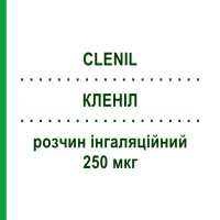 КЛЕНІЛ (CLENIL) 250 мкг розчин інгаляційний 200 доз - Беклометазон CHIESI