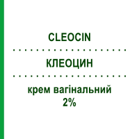 КЛЕОЦИН (CLEOCIN) 2% крем вагінальний 40 г - Кліндаміцин PFIZER