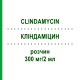 КЛІНДАМІЦИН (CLINDAMYCIN) 300 мг/2 мл розчин 10 шт - Кліндаміцин FRESENIUS