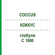 КОККУС (COCCUS) C 1000 глобули 10 г - Гомеопатия DHU