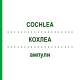КОХЛЕА (COCHLEA) ампули 10x1 мл - Гомеопатія WALA HEILMITTEL