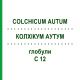 КОЛХІКУМ АУТУМ (COLCHICUM AUTUM) C 12 глобули 1,5 г - Гомеопатія GUDJONS