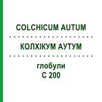 КОЛХІКУМ АУТУМ (COLCHICUM AUTUM) C 200 глобули 1,5 г - Гомеопатія GUDJONS
