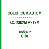 КОЛХІКУМ АУТУМ (COLCHICUM AUTUM) C 30 глобули 1,5 г - Гомеопатія GUDJONS