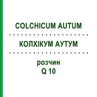 КОЛХІКУМ АУТУМ (COLCHICUM AUTUM) Q 10 розчин 15 мл - Гомеопатія GUDJONS