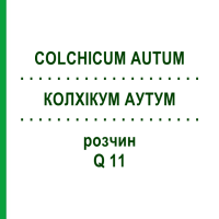 КОЛХИКУМ АУТУМ (COLCHICUM AUTUM) Q 11 раствор 15 мл - Гомеопатия GUDJONS