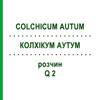КОЛХИКУМ АУТУМ (COLCHICUM AUTUM) Q 2 раствор 15 мл - Гомеопатия GUDJONS