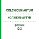 КОЛХІКУМ АУТУМ (COLCHICUM AUTUM) Q 2 розчин 15 мл - Гомеопатія GUDJONS