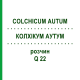 КОЛХІКУМ АУТУМ (COLCHICUM AUTUM) Q 22 розчин 15 мл - Гомеопатія GUDJONS