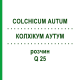 КОЛХІКУМ АУТУМ (COLCHICUM AUTUM) Q 25 розчин 15 мл - Гомеопатія GUDJONS