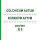 КОЛХІКУМ АУТУМ (COLCHICUM AUTUM) Q 5 розчин 15 мл - Гомеопатія GUDJONS
