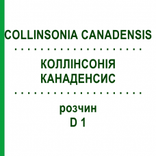 КОЛЛИНСОНИЯ КАНАДЕНСИС (COLLINSONIA CANADENSIS) D 1 раствор 20 мл - Гомеопатия DHU