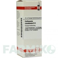 КОЛЛИНСОНИЯ КАНАДЕНСИС (COLLINSONIA CANADENSIS) D 4 раствор 20 мл - Гомеопатия DHU