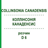 КОЛЛИНСОНИЯ КАНАДЕНСИС (COLLINSONIA CANADENSIS) D 6 раствор 20 мл - Гомеопатия DHU