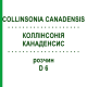 КОЛЛИНСОНИЯ КАНАДЕНСИС (COLLINSONIA CANADENSIS) D 6 раствор 20 мл - Гомеопатия DHU
