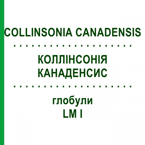 КОЛЛИНСОНИЯ КАНАДЕНСИС (COLLINSONIA CANADENSIS) LM I глобули 5 г - Гомеопатия DHU
