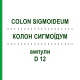 КОЛОН СИГМОЇДУМ (COLON SIGMOIDEUM) D 12 ампули 10x1 мл - Гомеопатія WALA HEILMITTEL