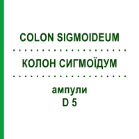 КОЛОН СИГМОИДУМ (COLON SIGMOIDEUM) D 5 ампулы 10x1 мл - Гомеопатия WALA HEILMITTEL