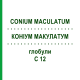 КОНИУМ МАКУЛАТУМ (CONIUM MACULATUM) C 12 глобули 10 г - Гомеопатия SPAGYRA