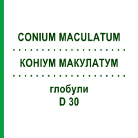 КОНІУМ МАКУЛАТУМ (CONIUM MACULATUM) D 30 глобули 10 г - Гомеопатія SPAGYRA
