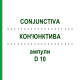 КОН'ЮНКТИВА (CONJUNCTIVA) D 10 ампули 10x1 мл - Гомеопатія WALA HEILMITTEL