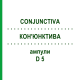 КОН'ЮНКТИВА (CONJUNCTIVA) D 5 ампули 10x1 мл - Гомеопатія WALA HEILMITTEL