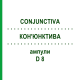 КОН'ЮНКТИВА (CONJUNCTIVA) D 8 ампули 10x1 мл - Гомеопатія WALA HEILMITTEL