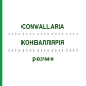 КОНВАЛЛЯРІЯ (CONVALLARIA) розчин 50 мл - Гомеопатія HANOSAN