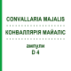 КОНВАЛЛЯРИЯ МАЙАЛИС (CONVALLARIA MAJALIS) D 4 ампулы 8x1 мл - Гомеопатия DHU
