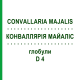 КОНВАЛЛЯРИЯ МАЙАЛИС (CONVALLARIA MAJALIS) D 4 глобули 10 г - Гомеопатия DHU