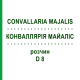 КОНВАЛЛЯРИЯ МАЙАЛИС (CONVALLARIA MAJALIS) D 8 раствор 20 мл - Гомеопатия DHU