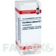 КОРАЛЛИУМ РУБРУМ (CORALLIUM RUBRUM) D 30 глобули 10 г - Гомеопатия DHU