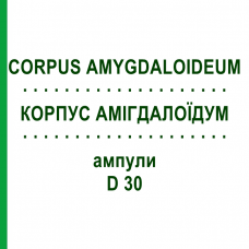 КОРПУС АМІГДАЛОЇДУМ (CORPUS AMYGDALOIDEUM) D 30 ампули 10x1 мл - Гомеопатія WALA HEILMITTEL