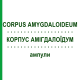 КОРПУС АМІГДАЛОЇДУМ (CORPUS AMYGDALOIDEUM) ампули 10x1 мл - Гомеопатія WALA HEILMITTEL