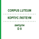 КОРПУС ЛЮТЕУМ (CORPUS LUTEUM) D 8 ампули 10x1 мл - Гомеопатія WALA HEILMITTEL