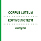 КОРПУС ЛЮТЕУМ (CORPUS LUTEUM) ампули 10x1 мл - Гомеопатія WALA HEILMITTEL