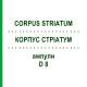 КОРПУС СТРІАТУМ (CORPUS STRIATUM) D 8 ампули 10x1 мл - Гомеопатія WALA HEILMITTEL