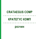 КРАТЕГУС КОМП (CRATAEGUS COMP) розчин 2x50 мл - Гомеопатія WELEDA