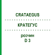 КРАТЕГУС (CRATAEGUS) D 3 розчин 20 мл - Гомеопатія HANOSAN