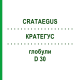 КРАТЕГУС (CRATAEGUS) D 30 глобули 10 г - Гомеопатія DR.RECKEWEG