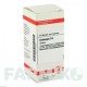 КРАТЕГУС (CRATAEGUS) D 4 таблетки 80 шт - Гомеопатия DHU