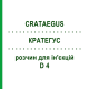 КРАТЕГУС (CRATAEGUS) D 4 раствор для инъекций 100 мл - Гомеопатия ZIEGLER HOMOOPATHIKA