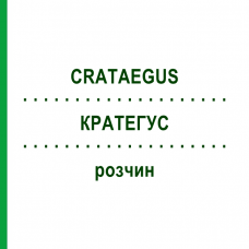 КРАТЕГУС (CRATAEGUS) розчин 20 мл - Гомеопатія HANOSAN