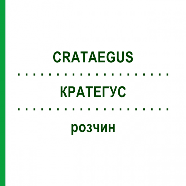 КРАТЕГУС (CRATAEGUS) розчин 50 мл - Гомеопатія HANOSAN