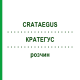 КРАТЕГУС (CRATAEGUS) розчин 50 мл - Гомеопатія HANOSAN