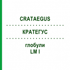 КРАТЕГУС (CRATAEGUS) LM I глобули 5 г - Гомеопатия DHU