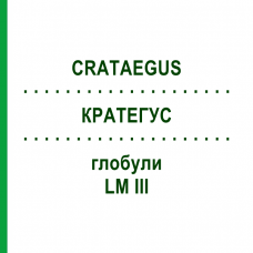 КРАТЕГУС (CRATAEGUS) LM III глобули 5 г - Гомеопатия DHU