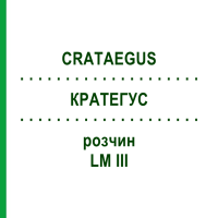 КРАТЕГУС (CRATAEGUS) LM III раствор 10 мл - Гомеопатия DHU
