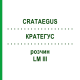 КРАТЕГУС (CRATAEGUS) LM III раствор 10 мл - Гомеопатия DHU