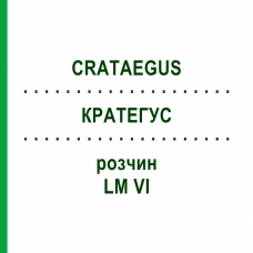 КРАТЕГУС (CRATAEGUS) LM VI раствор 10 мл - Гомеопатия DHU